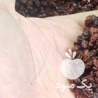 فروش زرشک رستورانی در تهران در گروه خرید فروش عمده ازگیل و تمشک و زرشک - ژاپنی فروش مستقیم در یکمیوه