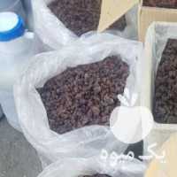 فروش کشمش آفتابی در تهران در گروه آجیل - فروش عمده محصولات در یکمیوه