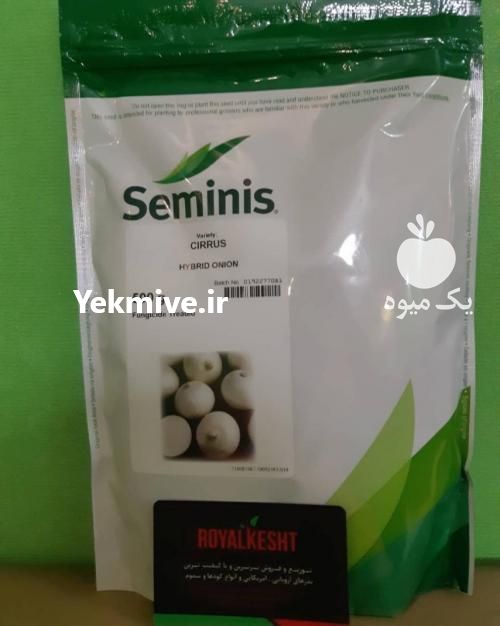 فروش انواع محصولات کشاورزی فروش بذر پیاز سایروس در تهران در گروه خرید فروش بذر - انواع محصول کشاورزی گوجه کتان میوه درخت در یکمیوه -عکس1