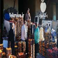 بارفروشی و حق العمل کاری ایازی در قم در گروه بار بارکن خرید و فروش عمده محصولات کشاورزی باربارکن میوه گوجه در یکمیوه