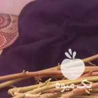 فروش پیوندپسته در یزد در گروه پسته - کوهی شامی خام اکبری تازه کله قوچی در یکمیوه