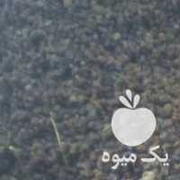 فروش کشمش افتابی ملایر در تهران در گروه آجیل - فروش عمده محصولات در یکمیوه