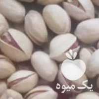 فروش پسته فندوقی کرمان در تهران در گروه پسته - کوهی شامی خام اکبری تازه کله قوچی در یکمیوه