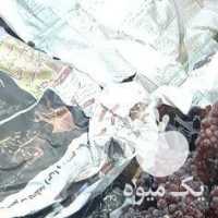 فروش نوبر انگور یاقوتی در همدان در گروه خرید فروش عمده انگور - یاقوتی شانی عسگری بی دانه قرمز در یکمیوه