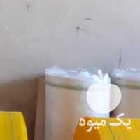 فروش انواع گونی توری برای سیر و سیب زمینی در همدان در گروه خرید فروش عمده سیب زمینی - زودرس دیررس آگریا اسپریت اردبیل همدان در یکمیوه