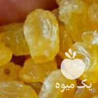 فروش کشمش Golden No 1 ملایر در تهران در گروه آجیل - فروش عمده محصولات در یکمیوه