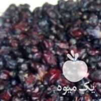 فروش زرشک و اب زرشک کوهی اصل در مشهد در گروه خرید فروش عمده ازگیل و تمشک و زرشک - ژاپنی فروش مستقیم در یکمیوه