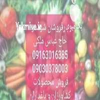 بارفروشی و حق العملکاران خوزستان حاج عباس ملکی در شوش در گروه حق العمل کاری محصولات کشاورزی و دامداری خدمات کارمزد در یکمیوه