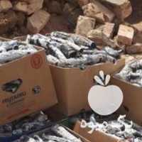 فروش زغال سفید پسته در سیرجان در گروه خرید فروش عمده چوب- زغال چوب گردو تبریزی خام در یکمیوه