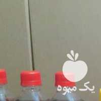 فروش عمده یخمک  ، آب زرشک  ، آب البالو در تهران در گروه خرید فروش عمده میوه استوایی - پاپایا قرمز منگوستین گواوا بلوبری در یکمیوه