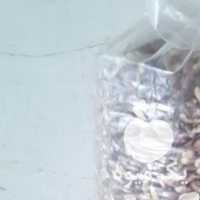 فروش ضایعات بادام زمینی وپوست بادام در آستانه اشرفیه در گروه بادام - درختی کوهی زمینی فروش عمده در یکمیوه