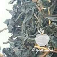 فروش برنج هاشمی وچای دستی در لاهیجان در گروه خرید فروش عمده برنج - نیم دانه عنبر بو هاشمی کاظمی هندی پاکستانی در یکمیوه