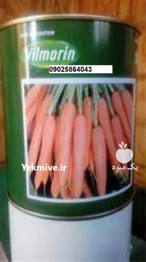 فروش بذر هویچ ویلمورین در تهران در گروه خرید فروش بذر - انواع محصول کشاورزی گوجه کتان میوه درخت در یکمیوه -عکس1