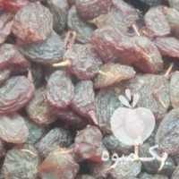 فروش کشمش بیدانه صدر صد آفتابی ملایر وتاکستان در تهران در گروه آجیل - فروش عمده محصولات در یکمیوه
