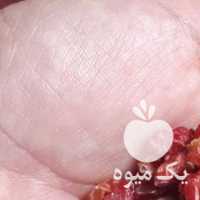 فروش زرشک مناسب آبگیری  در بیرجند در گروه خرید فروش عمده ازگیل و تمشک و زرشک - ژاپنی فروش مستقیم در یکمیوه