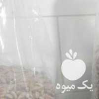 فروش هسته خرما در بوشهر در گروه خرید فروش عمده خرما - کبکاب تازه زاهدی خشک خارک در یکمیوه