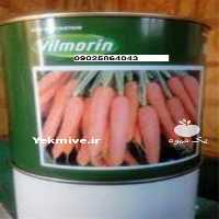 فروش بذر هویچ ویلمورین در تهران در گروه خرید فروش بذر - انواع محصول کشاورزی گوجه کتان میوه درخت در یکمیوه