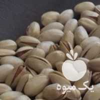 فروش صادرات پسته در تهران در گروه پسته - کوهی شامی خام اکبری تازه کله قوچی در یکمیوه