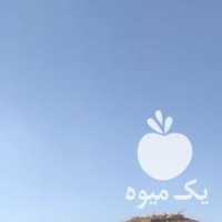 فروش کود گاو گاوی مرغ مرغی گوسفندی در شیراز در گروه خرید فروش کود و مواد شیمیایی - اوره پتاس مرغی کمپوست آهن در یکمیوه