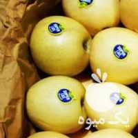 فروش سیب زرد و قرمز در ارومیه در گروه خرید فروش عمده سیب - زرد و قرمز گلاب پاییزه در یکمیوه