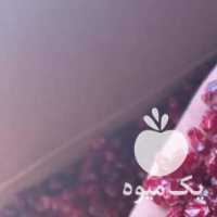 فروش زرشک دانه اناری و پفکی عمده در ارومیه در گروه خرید فروش عمده ازگیل و تمشک و زرشک - ژاپنی فروش مستقیم در یکمیوه