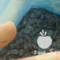 فروش پخش عمده انواع کشمش وقیسی در قزوین در گروه آجیل - فروش عمده محصولات در یکمیوه