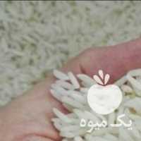 فروش برنج هاشمی درجه 1 تحویل تهران در رشت در گروه خرید فروش عمده برنج - نیم دانه عنبر بو هاشمی کاظمی هندی پاکستانی در یکمیوه