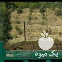 فروش پخش کود حیوانی‌ گاوی گوسفندی مرغی مرغ خاک باغچه رس در تهران در گروه خرید فروش کود و مواد شیمیایی - اوره پتاس مرغی کمپوست آهن در یکمیوه