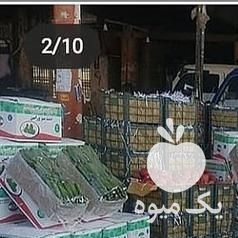 فروش میوه مجلسی تالار جشن تولد عروسی تالار انگور شانی ت در تهران در گروه خرید فروش عمده انگور - یاقوتی شانی عسگری بی دانه قرمز در یکمیوه -عکس1