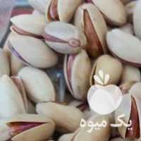 فروش پسته عمده مستقیم از کشاورز در رفسنجان در گروه بادام - درختی کوهی زمینی فروش عمده در یکمیوه