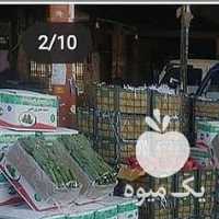 فروش میوه مجلسی تالار جشن تولد عروسی تالار انگور شانی ت در تهران در گروه خرید فروش عمده انگور - یاقوتی شانی عسگری بی دانه قرمز در یکمیوه