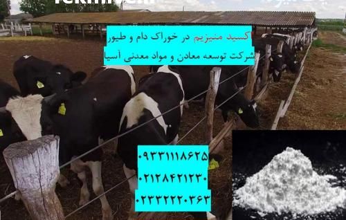 فروش اکسیدمنیزیم در تهیه خوراک دام و طیور در تهران در گروه خوراک دام و طیور - پرواری شیری علوفه یونجه در یکمیوه -عکس1
