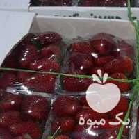 فروش توت فرنگی شاتوت انگورسیاه شانی میوهای انار در تهران در گروه خرید فروش عمده انگور - یاقوتی شانی عسگری بی دانه قرمز در یکمیوه