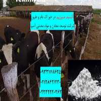 فروش اکسیدمنیزیم در تهیه خوراک دام و طیور در تهران در گروه خوراک دام و طیور - پرواری شیری علوفه یونجه در یکمیوه