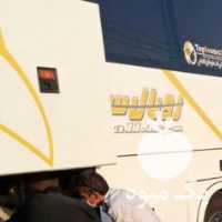 فروش پیاز زعفران تربت حیدری در مشهد در گروه خرید فروش عمده زعفران - قائنات قیمت خراسان بهرامن گرم در یکمیوه