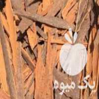 خرید و گیاهان دارویی در گرگان در گروه ادویه - ترشی کاری ادویه جات خشک در یکمیوه