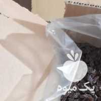 فروش پخش عمده کشمش ومویز در شیراز در گروه آجیل - فروش عمده محصولات در یکمیوه