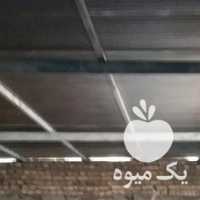 فروش زرشک خشک در بیرجند در گروه خرید فروش عمده ازگیل و تمشک و زرشک - ژاپنی فروش مستقیم در یکمیوه