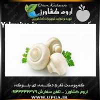 فروش بذر قارچ وکمپوست در آذربایجان غربی در گروه خرید فروش بذر - انواع محصول کشاورزی گوجه کتان میوه درخت در یکمیوه