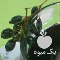 فروش آب آلبالو آب انار آب زرشک آب زغال اخته انبه شاتوت در تهران در گروه خرید فروش عمده چوب- زغال چوب گردو تبریزی خام در یکمیوه