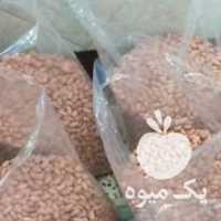 فروش بادام زمینی آجیلی در آستانه اشرفیه در گروه بادام - درختی کوهی زمینی فروش عمده در یکمیوه