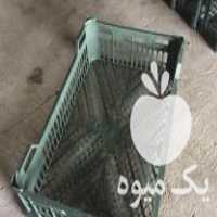 فروش سبد بزرگ صادراتی کاهو و کلم در تهران در گروه خرید فروش عمده کاهو - رسمی پیچ سالادی فرانسوی چینی قرمز در یکمیوه