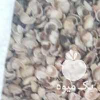 فروش پوست پسته استخوانی در رفسنجان در گروه پسته - کوهی شامی خام اکبری تازه کله قوچی در یکمیوه