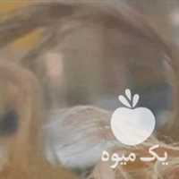 فروش پیاز زعفران خراسان قائنات در تهران در گروه خرید فروش عمده زعفران - قائنات قیمت خراسان بهرامن گرم در یکمیوه