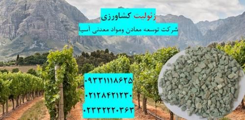 فروش زئولیت مخصوص کشاورزی در تهران در گروه خرید و فروش عمده انواع محصولات کشاورزی و دامداری در یکمیوه -عکس1