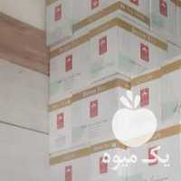 فروش چای تی بگ 1000 عددی دبش در تهران در گروه خرید فروش عمده چای - سبز ترش کوهی سیاه در یکمیوه