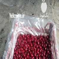 فروش آلبالو ریز رسمی بدون هسته فریز شده در تهران در گروه خرید فروش عمده آلبالو - رسمی خارجی سرخ قرمز مربایی شربتی در یکمیوه