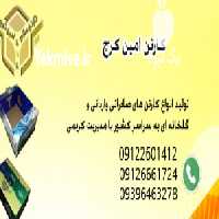 فروش تولید انواع کارتن سازی امین  و در کرج در گروه خرید فروش انواع بسته بندی کاغذی - کارتن مقوا در یکمیوه
