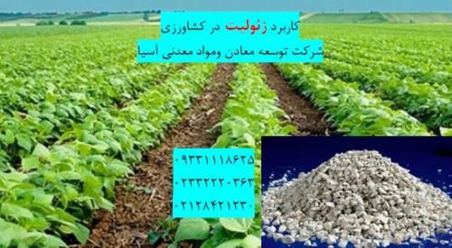 فروش ویژه زئولیت در چالکود باغ و درختان در تهران در گروه خرید فروش کود و مواد شیمیایی - اوره پتاس مرغی کمپوست آهن در یکمیوه -عکس1