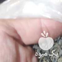 فروش چای بهاره لاهیجان وروغن زیتون در رشت در گروه خرید فروش عمده چای - سبز ترش کوهی سیاه در یکمیوه